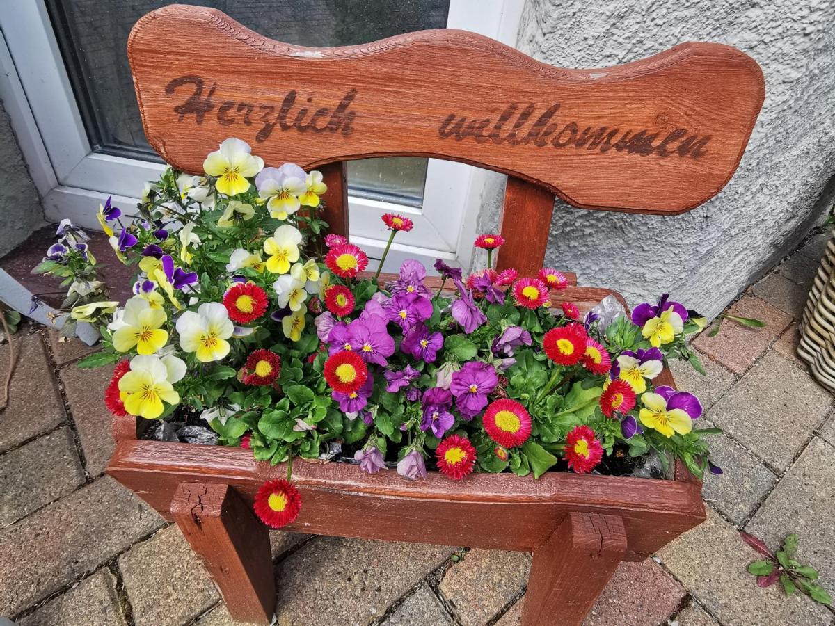 Pension Ginko Wernigerode Eksteriør billede