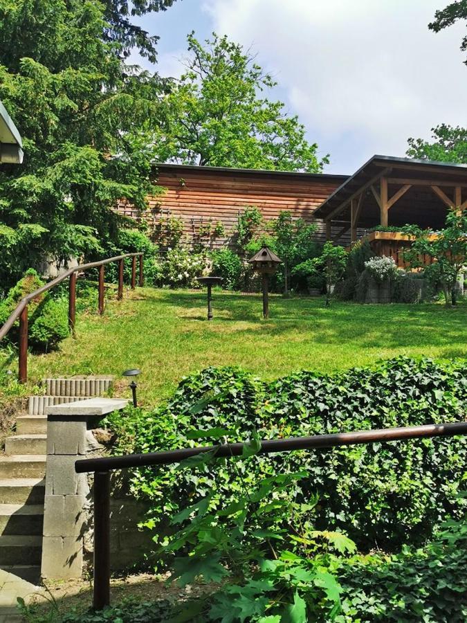 Pension Ginko Wernigerode Eksteriør billede