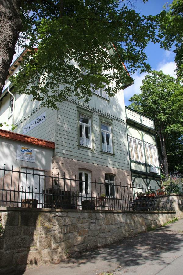 Pension Ginko Wernigerode Eksteriør billede